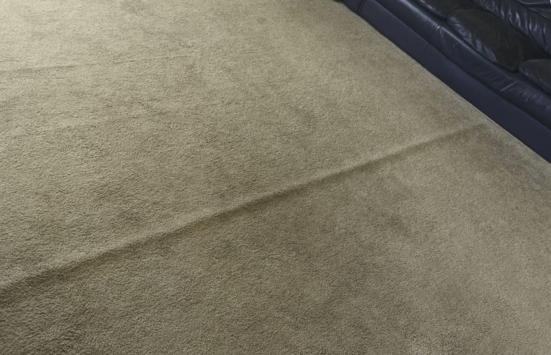 Carpet Repair Service in Olathe, KS