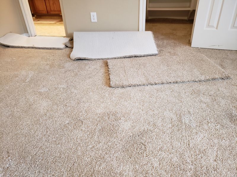 Carpet Underlay Replacement in Olathe, KS