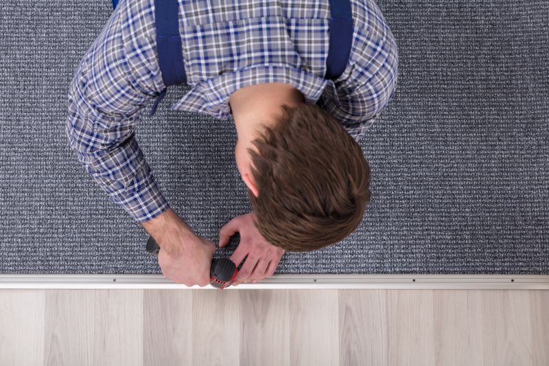 Pet Stain Carpet Repair in Kansas City, KS